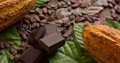 Día Mundial del Cacao tendencias chocolate