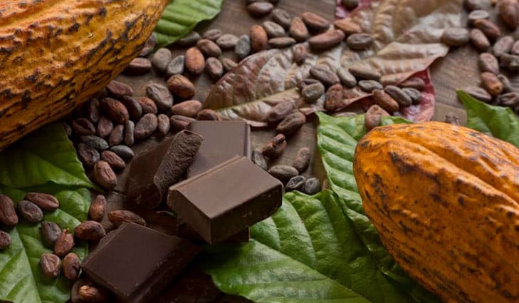Día Mundial del Cacao tendencias chocolate