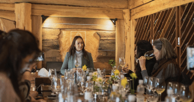 viñedo termal Pucón Wine & Wellness 2026