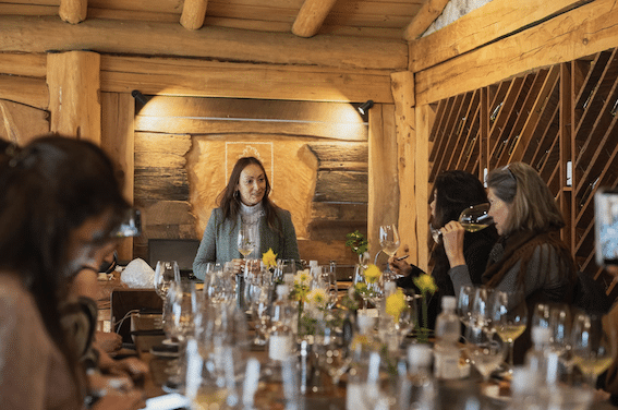 viñedo termal Pucón Wine & Wellness 2026